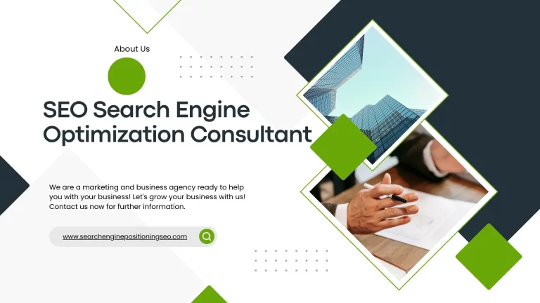 SEO Search Engine Optimization Consultant